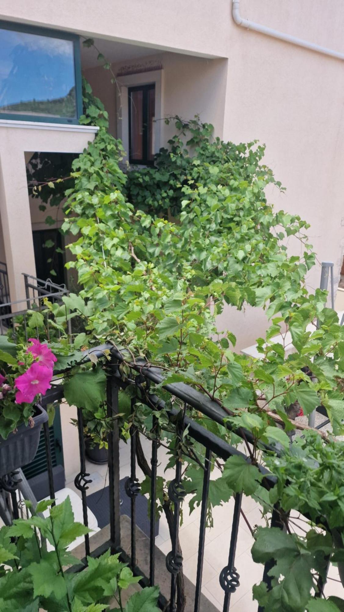 Apartments Ante 2 Χβαρ Εξωτερικό φωτογραφία